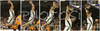 Marko Milic (no. 12) of Union Olimpija during one of his spectacular slam dunks in match of Euroleague League between KK Union Olimpija, Ljubljana, Slovenia and Panathinaikos Athens, Greece. Match ended with victory of Panathinaikos, who defeated Union Olimpija with 86:65. Match between KK Union Olimpija and Panathinaikos was played in Tivoli hall in Ljubljana, Slovenia on 8. November 2006.
