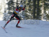 Second placed Raphael Poiree of France skiing during men sprint race of e.on Ruhrgas IBU Biathlon World cup which was held on Pokljuka, Slovenia on 8.March 2006.
