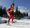 Katarzyna Ponikwia of Poland skiing during women sprint race of e.on Ruhrgas IBU Biathlon World cup which was held on Pokljuka, Slovenia on 9.March 2006.
