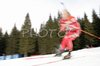 Biathletes skiing in men pursuit race on Pokljuka, Slovenia. IBU Biathlon World Cup sprint race was held on Pokljuka, Slovenia on 20th of January 2007.
