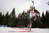 Ricco Gross of Germany skiing in men pursuit race on Pokljuka, Slovenia. IBU Biathlon World Cup sprint race was held on Pokljuka, Slovenia on 20th of January 2007.
