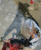 Asja Gosar of Slovenia climbing during half finals of UIAA Climbing World Cup, which was held in Kranj, Slovenia on 18th of November 2006. First 8 from men and first 8 from women category qualified for finals which will be held in Kranj, Slovenia on 19th of November 2006.
