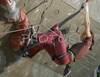 Caroline Ciavaldini of France climbing during half finals of UIAA Climbing World Cup, which was held in Kranj, Slovenia on 18th of November 2006. First 8 from men and first 8 from women category qualified for finals which will be held in Kranj, Slovenia on 19th of November 2006.
