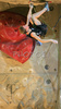Jakob Schubert of Austria climbing in half finals of last IFSC Sport Climbing World cup of 2007 season. Semi finals for last IFSC Sport Climbing World Cup of 2007 season were held in Kranj, Slovenia on 17th of November 2007.
