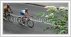 Cyclists riding their bikes during road cycling race across the streets of Kranj. Cyclists had to finish more then 30 laps through streets of Kranj, before they had chance to sprint uphill for last time and try to win race. Valter Bonca of Sava Kranj won race after he was in leading group of three cyclists for more then 20 laps.
