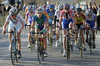 Peloton with 2 laps to go riding in 31th Trophy of ZSSDI (Union of the Slovene sport clubs in Italy) which was held in Lonjer near Trieste, Italy, on 4th of March 2007.
