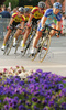 Cyclists are riding through streets of Sencur, Slovenia during Grand prix of Sencur. Race in Sencur, Slovenia was held on 27th of April 2007.
