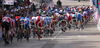 Cyclists riding during Men Elite road race of UCI Road Cycling World Championships. Men Elite road race World Championships was held on 30th of September 2007 in Stuttgart, Germany.
