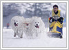 European Cup dog-sled race was traditional held on 8th and 9th of January 2005 in Ratece, Slovenia.
