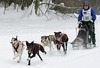 Mushers and dogs were speeding through snowy fields in chase of best possible placement on World Cup and European Cup Sleddog 2006 which was held on 28th of January 2006 in Ratece, Slovenia.
