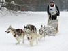 Mushers and dogs were speeding through snowy fields in chase of best possible placement on World Cup and European Cup Sleddog 2006 which was held on 28th of January 2006 in Ratece, Slovenia.
