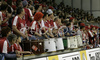 Spectators are cheering for Krim Mercator during Women Handball Championships League match between Krim Mercator and Dinamo Volgograd. Krim Mercator, Ljubljana, Slovenia was hosting match of 2nd round of Women Handball Championships League against Dinamo Volgograd, Russia in Tivoli Arena on 13th of January 2007. Match was won by Krim Mercator who defeated Dinamo Volgograd 41:33.
