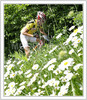 MTB cyclist during cross country MTB race in Kamnik. Cyclists of Elite and Under 23 category had to finish 7 exhausting laps with lot of uphills and hard downhills  in real summer heat of 27 degres of Celsius.
