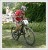 MTB cyclist during cross country MTB race in Kamnik. Cyclists of Elite and Under 23 category had to finish 7 exhausting laps with lot of uphills and hard downhills  in real summer heat of 27 degres of Celsius.
