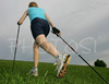 Nordic walker is enjoying her sport on fields near village Preddvor, Slovenia, on nice late spring afternoon. Nordic walking was first used as a summer training method by cross-country skiers. Nordic walking is one of the fastest growing recreational fitness sports in the world. Nordic walking is fitness walking with specially designed nordic walker poles and offers a very efficient, aerobic and easy way to improve your physical condition irrespective of age, sex or physical condition.
