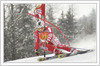 Fourth placed Maximiliano Blardone of Italy clearing gate during giant slalom race of Audi Alpine Skiing World Cup in Kranjska Gora. Race was won by Benjamin Raich of Austria, who finished before his teammate Hermann Maier of Austria and third placed Kalle Palander of Finland. <br> 
