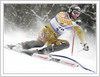 Third placed Andre Myhrer of Sweden clears the gate between first run of slalom race of Audi FIS Alpine skiing world cup in Kranjska Gora, Slovenia.  Race was won by Giogio Rocca of Italy, Andre Myhrer of Sweden placed second and Benjamin Raich of Austria finished third. <br> 
