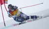 Eric Schlopy of USA skiing during FIS World Cup race in Kranjska Gora, Slovenia. Race was won by Benjamin Raich of Austria, Massimilian Blardone of Italy placed second, while Thomas Grandi of Canada finished third. Schlopy finished 6th.
