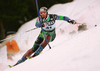 Andrej Sporn of Slovenia skiing during FIS World Cup Slalom race in Kranjska Gora, Slovenia. Race was won by Giorgio Rocca of Italy, Thomas Grandi of Canada placed second, while Ted Ligety of USA finished third. Sporn didnt qualify for second run.
