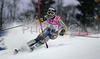 Anna Ottosson of Sweden skiing in first run of Women Alpine skiing slalom FIS World Cup in Zagreb, Croatia. Snow queen trophy in Zagreb, Croatia was held in Sljeme, Croatia on 4th of January 2007.
