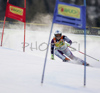  skiing in first run of Women Alpine skiing giant slalom FIS World Cup in Kranjska Gora, Slovenia. Golden Fox trophy was held in on 6th of January 2007 in in Kranjska Gora, Slovenia, as replacement for Maribor, Slovenia, where organizers could not prepare track due high temperatures.
