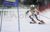 Marion Bertrand of France skiing in first run of Women Alpine skiing giant slalom FIS World Cup in Kranjska Gora, Slovenia. Golden Fox trophy was held in on 6th of January 2007 in in Kranjska Gora, Slovenia, as replacement for Maribor, Slovenia, where organizers could not prepare track due high temperatures.
