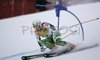Third placed Tanja Poutiainen of Finland skiing in second run of Women Alpine skiing giant slalom FIS World Cup in Kranjska Gora, Slovenia. Golden Fox trophy was held in on 6th of January 2007 in in Kranjska Gora, Slovenia, as replacement for Maribor, Slovenia, where organizers couldnt prepare track due high temperatures.

