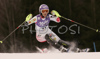 Michaela Kirchgasser of Austria skiing in first run of Women Alpine skiing slalom FIS World Cup in Kranjska Gora, Slovenia. Golden Fox trophy was held in on 7th of January 2007 in in Kranjska Gora, Slovenia, as replacement for Maribor, Slovenia, where organizers couldnt prepare track due high temperatures.
