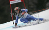 Didier Cuche of Switzerland skiing in first run of Men Alpine skiing giant slalom FIS World Cup in Kranjska Gora, Slovenia. Men giant slalom FIS Alpine skiing World Cup was held on 3rd of March 2007 in Kranjska Gora, Slovenia.
