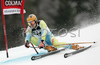 Mitja Valencic of Slovenia skiing in first run of Men Alpine skiing giant slalom FIS World Cup in Kranjska Gora, Slovenia. Men giant slalom FIS Alpine skiing World Cup was held on 3rd of March 2007 in Kranjska Gora, Slovenia.
