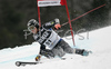 Tim Jitloff of USA skiing in first run of Men Alpine skiing giant slalom FIS World Cup in Kranjska Gora, Slovenia. Men giant slalom FIS Alpine skiing World Cup was held on 3rd of March 2007 in Kranjska Gora, Slovenia.

