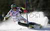 Mario Matt of Austria skiing in first run of Men Alpine skiing slalom FIS World Cup in Kranjska Gora, Slovenia. Men slalom FIS Alpine skiing World Cup was held on 4th of March 2007 in Kranjska Gora, Slovenia.
