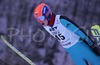 Ivan Chumyshev of Russia soars through the air during Individual ski jumping race of FIS Nordic Junior Ski World Championships, which was held in Kranj, Slovenia. Race was won by Gregor Schlierenzauner of Austria, Jurij Tepes of Slovenia placed second, while Andrea Morassi of Italy placed third.
