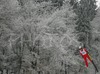 Gregory Baxter of Canada soars through the air during Junior ski jumping team race of FIS Nordic Junior Ski World Championships. Race was won by Austria, Slovenia placed second, while Japan finished third.
