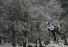 Jernej Kosnjek of Slovenia soars through the air during Junior ski jumping team race of FIS Nordic Junior Ski World Championships. Race was won by Austria, Slovenia placed second, while Japan finished third.
