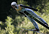 Jure Sinkovec of Slovenia soars through the air during qualification jump for tomorrows Summer FIS Grand Prix in ski jumping Kranj 2006. Qualifications were held in Ski jumping center in Kranj, Slovenia on 1. September 2006. First 50 ski jumpers qualified for tomorrow Summer FIS Grand Prix in ski jumping Kranj 2006, which will be held in Kranj, Slovenia on 2. September 2006.
