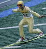 Stefan Thurnbichler of Austria lands during qualification jump for tomorrows Summer FIS Grand Prix in ski jumping Kranj 2006. Qualifications were held in Ski jumping center in Kranj, Slovenia on 1. September 2006. First 50 ski jumpers qualified for tomorrow Summer FIS Grand Prix in ski jumping Kranj 2006, which will be held in Kranj, Slovenia on 2. September 2006.

