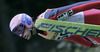 Andreas Kofler of Austria soars through the air during Summer FIS Grand Prix in ski jumping Kranj 2006. Summer FIS Grand Prix in ski jumping Kranj 2006 was held on 2. of September 2006 in Kranj, Slovenia.
