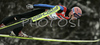 Martin Koch of Austri soars through the air in first round of second day of ski flying on FIS Ski jumping World Cup finals in Planica, Slovenia. FIS Ski jumping World Cup finals in Planica was held between 22nd and 25th of March 2007 in Planica, Slovenia. Second competition day of ski flying was held in Planica on 24rd of March 2007.
