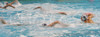 Players of Slovenia (white caps) and Malta (blue caps) during match between Slovenia and Malta of qualification waterpolo tournament for European championship. Match between Slovenia and Malta took place in Kranj, Slovenia on 8.April 2006. Slovenia defeated Malta with 10-6.
