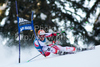 Hannes Reichelt (AUT) competing in the Audi FIS Alpine Skiing World Cup Giant Slalom race. Giant slalom race of Audi FIS Alpine skiing World cup was held in Alta Badia, Italy, on 20th of December 2009.
