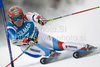 Didier Cuche of Switzerland clears a gate during the mens alpine ski World Cup Giant Slalom race in Alta Badia, Italy, Sunday, December 20, 2009.
