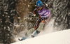 Filip Trejbal (CZE) attacks a control gate whilst competing in the 2nd run of the Audi FIS Alpine Skiing World Cup  Slalom race. The race was won by Reinfied Herbst (AUT)  Mandatory credit: Mitchell Gunn - Sportsphotographers.eu
