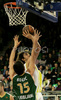 Rasim Basak (no.8) of Fenerbahce Ulker (R) and Mirza Begic (no.15) of Union Olimpija (L) during match of Basketball Euroleague between Union Olimpija, Ljubljana, Slovenia and Fenerbahce Ulker, Turkey. Match between Union Olimpija and Fenerbahce Ulker was played on 8th of January 2009 in Tivoli Arena in Ljubljana, Slovenia.

