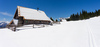 Snow cowered alpine meadows Zajamniki in Pokljuka, Slovenia, on Saturday, 30th of April 2016.
