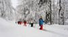 Ski touring in mountains around Vrsic pass above Kranjska Gora, Slovenia.