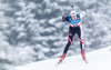 Dominik Landertinger (AUT) during Mens Sprint of E.ON IBU Biathlon World Cup at the Biathlonstadium in Hochfilzen, Austria on 2013/12/06.
