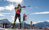 Martin Fourcade (FRA) during Mens Pursuit of E. ON IBU Biathlon World Cup at the Biathlonstadium in Hochfilzen, Austria on 2013/12/08.
