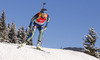 Mona Brorsson of Sweden during Women sprint race of IBU Biathlon World Cup in Hochfilzen, Austria. Women sprint race of IBU Biathlon World cup was held on Friday, 12th of December 2014 in Hochfilzen, Austria.
