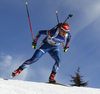 Gabriela Soukalaova of Czech Republic skiing during the Women relay race of IBU Biathlon World Cup in Hochfilzen, Austria. Women relay race of IBU Biathlon World cup was held on Sunday, 13th of December 2015 in Hochfilzen, Austria.
